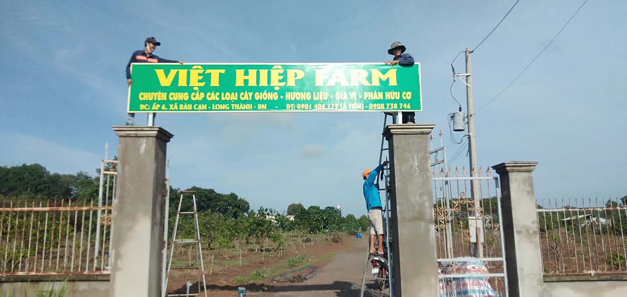 Việt Hiệp Farm