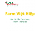 Việt Hiệp Farm
